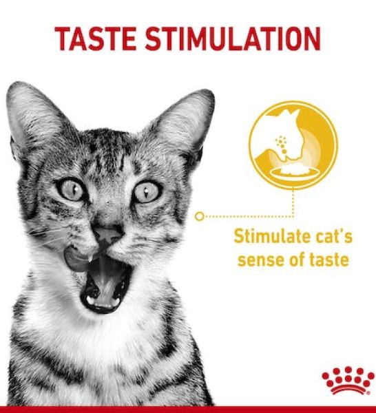 Royal Canin Feline Health Nutrition Sensory Taste Chunks In Gravy Cat Wet Food - 4