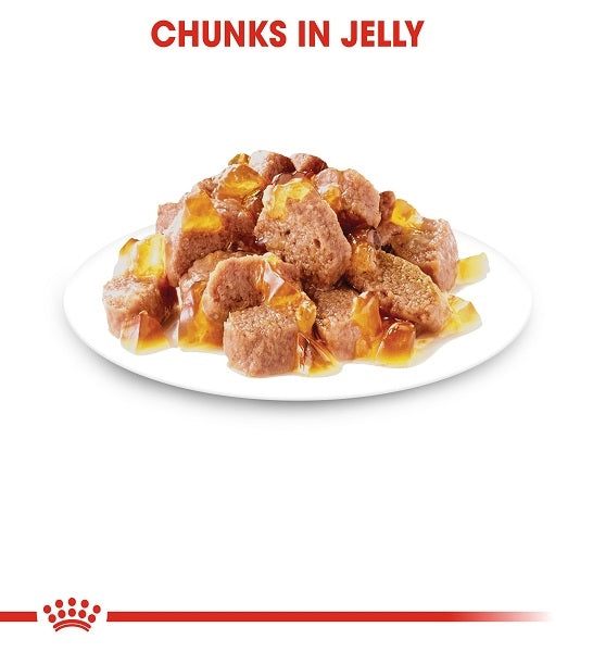 Royal Canin Hair & Skin In Jelly Adult Wet Cat Food - 5