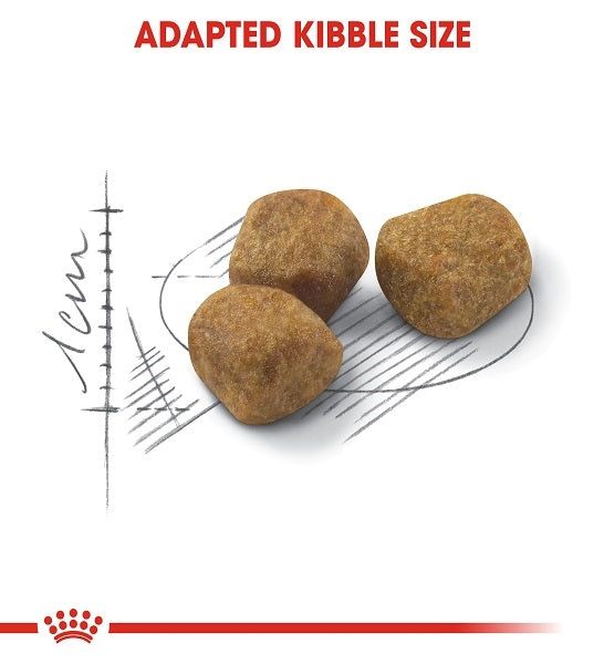 Royal Canin Home Life Indoor 7+ Dry Cat Food - 3