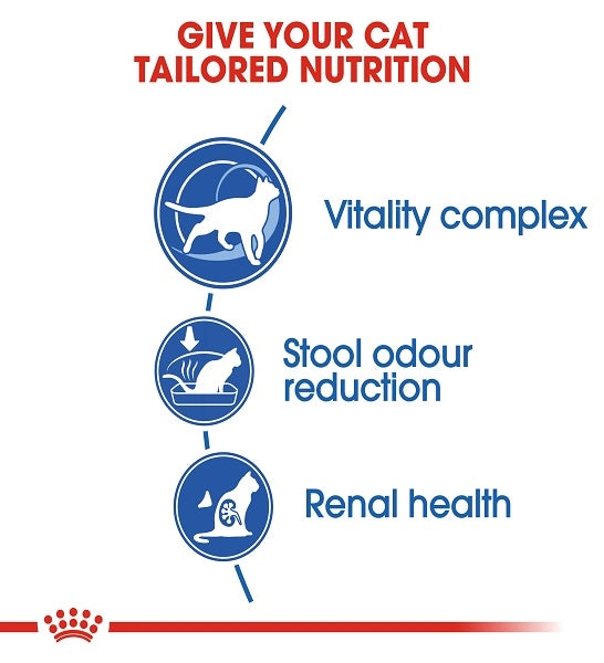 Royal Canin Home Life Indoor 7+ Dry Cat Food - 4
