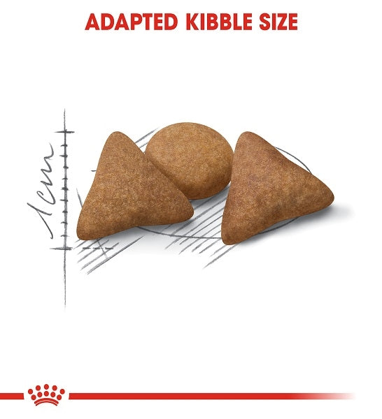 Royal Canin Indoor Appetite Control Adult Dry Cat Food 2KG - 3