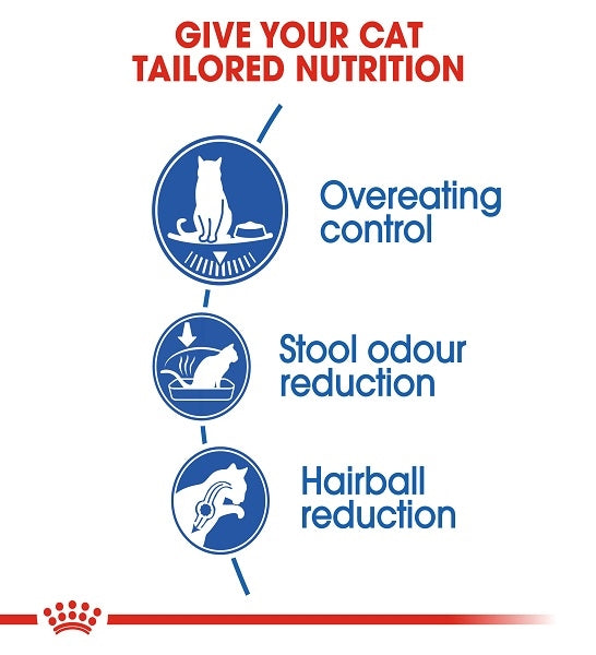 Royal Canin Indoor Appetite Control Adult Dry Cat Food 2KG - 4