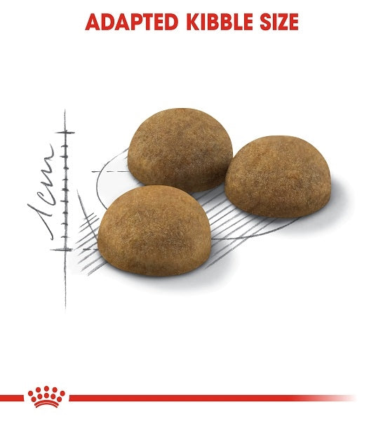 Royal Canin Indoor Long Hair Dry Cat Food 2KG - 3