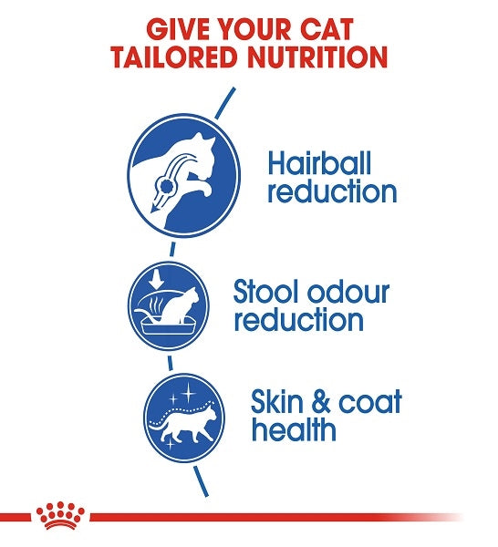 Royal Canin Indoor Long Hair Dry Cat Food 2KG - 4