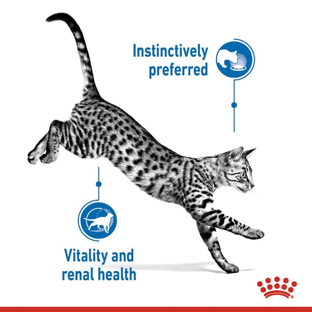 Royal Canin Indoor Sterilised 7+ in Chunks In Gravy Cat Wet Food 85G - 4