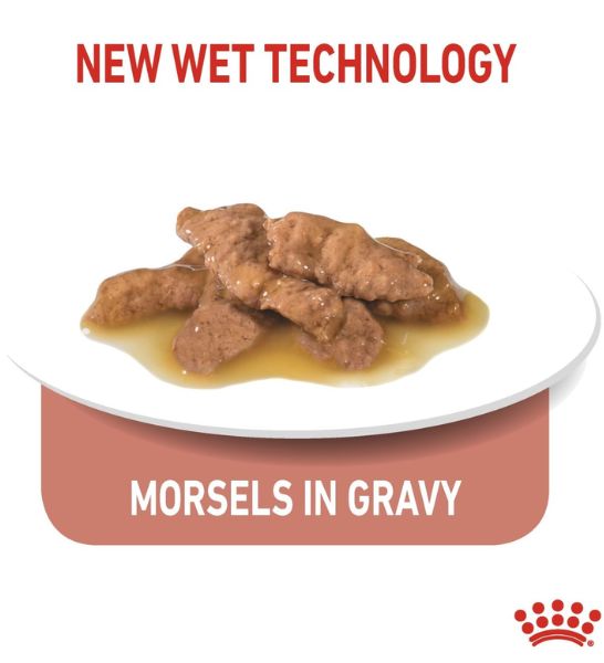 Royal Canin Indoor Sterilised In Gravy Cat Wet Food - 3