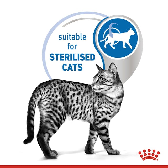Royal Canin Indoor Sterilised In Gravy Cat Wet Food - 5