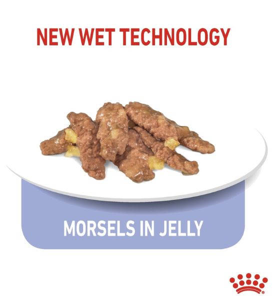 Royal Canin Indoor Sterilised In Jelly Adult Cat Wet Food - 4