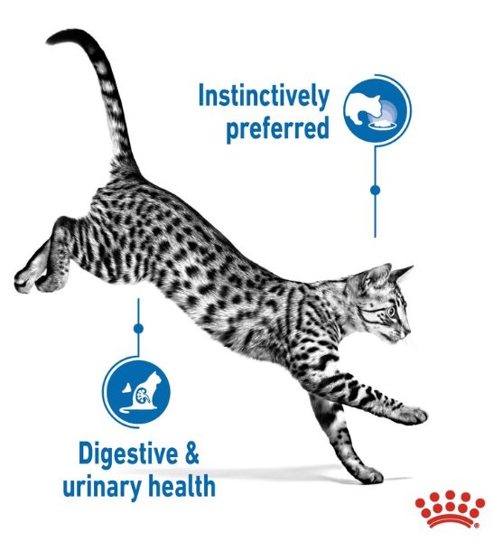 Royal Canin Indoor Sterilised In Jelly Adult Cat Wet Food - 6