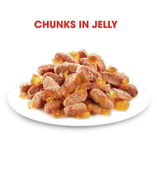 Royal Canin Kitten Instinctive in Jelly Wet Food - 5