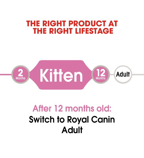 Royal Canin Kitten Instinctive in Jelly Wet Food - 6