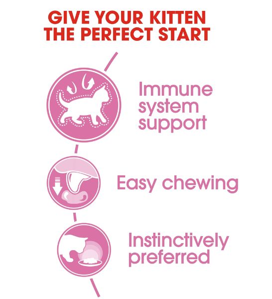 Royal Canin Kitten Instinctive in Jelly Wet Food - 7