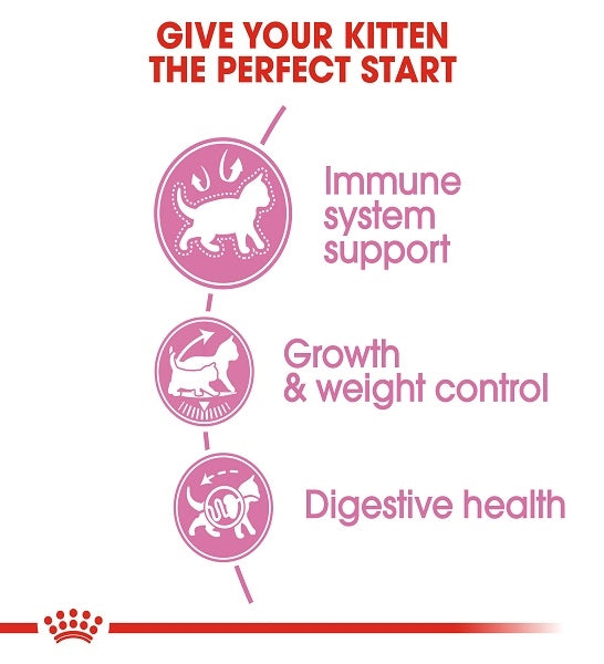 Royal Canin Kitten Sterilised Dry Food 2KG - 4