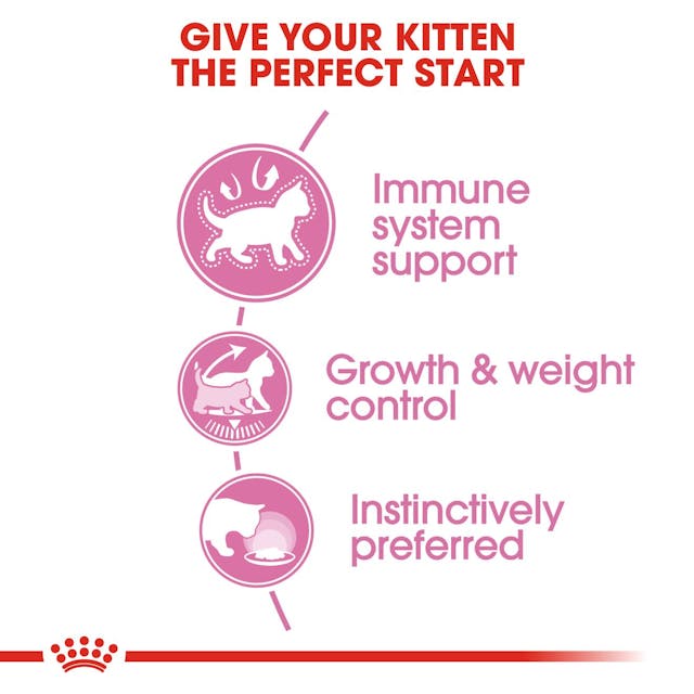 Royal Canin Kitten Sterilised In Jelly Wet Food 85G - 6