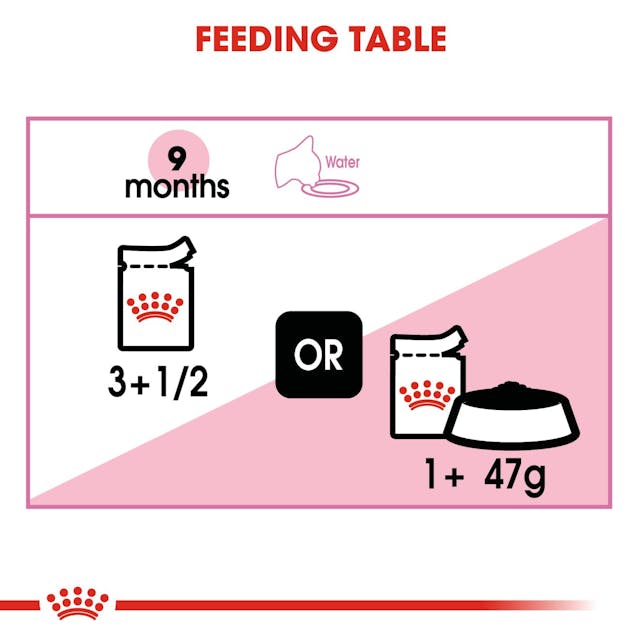 Royal Canin Kitten Sterilised In Jelly Wet Food 85G - 8