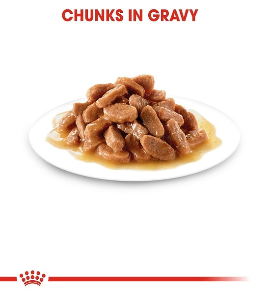 Royal Canin Kitten Sterilised in Gravy Wet Food - 4