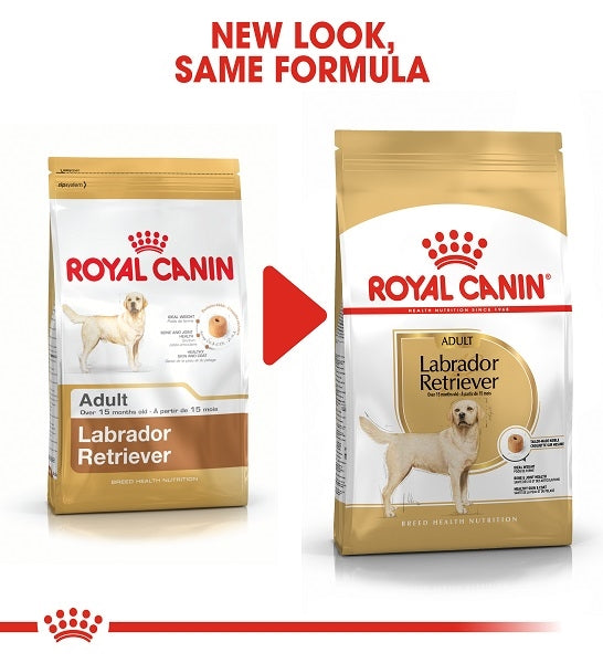 Royal Canin Labrador Retriever Adult Dry Dog Food - 2