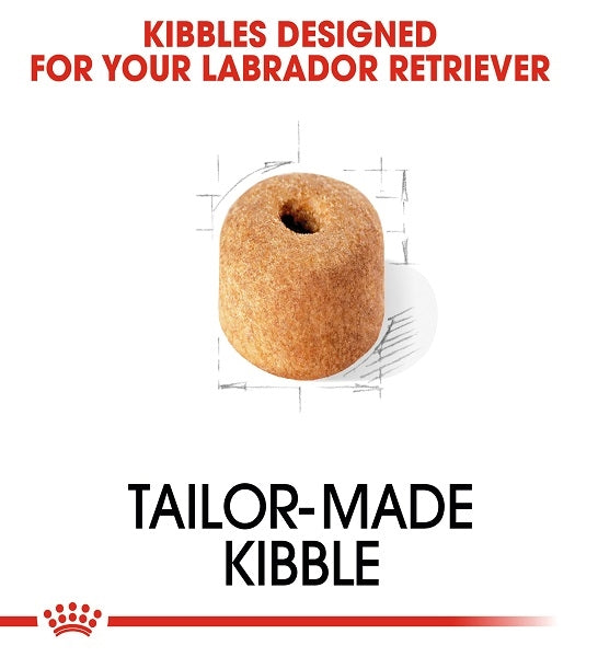 Royal Canin Labrador Retriever Adult Dry Dog Food - 4