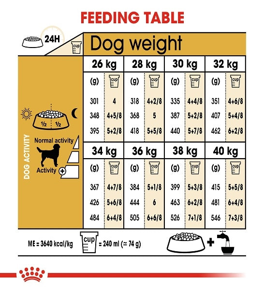 Royal Canin Labrador Retriever Adult Dry Dog Food - 6