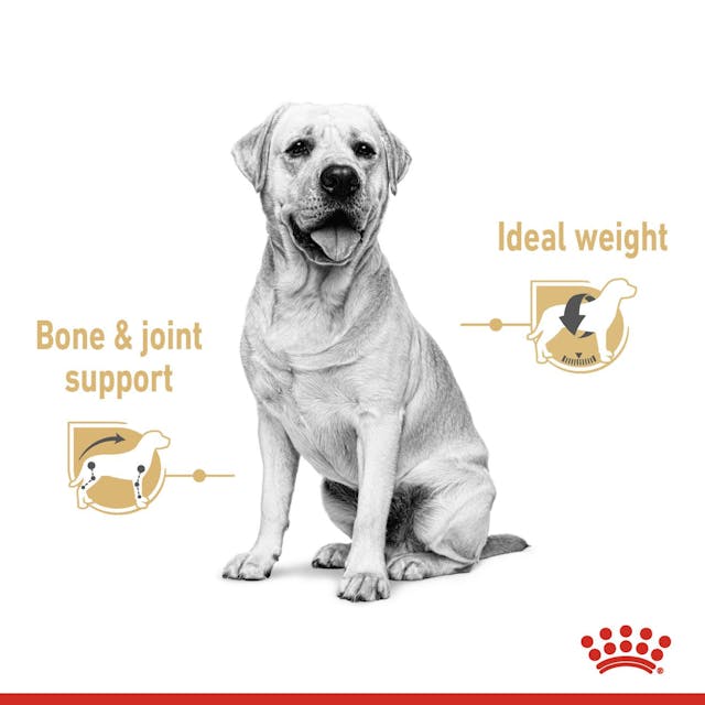 Royal Canin Labrador Retriever In Gravy Adult Wet Dog Food 140G - 3