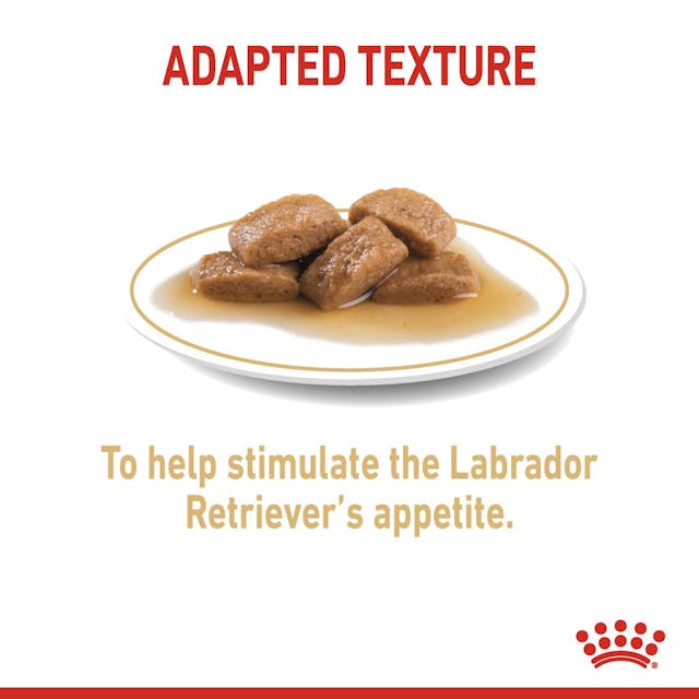 Royal Canin Labrador Retriever In Gravy Adult Wet Dog Food 140G - 4