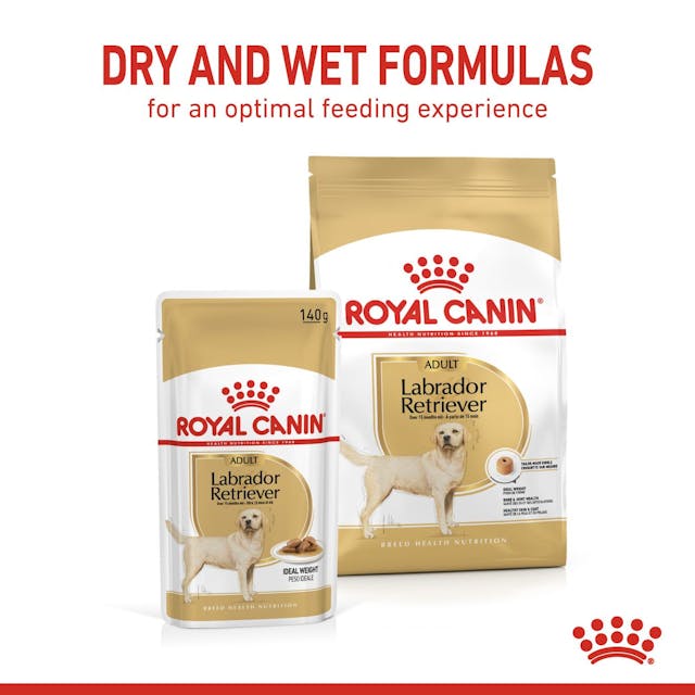 Royal Canin Labrador Retriever In Gravy Adult Wet Dog Food 140G - 5