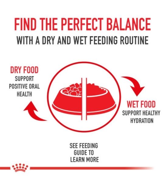 Royal Canin Light Weight Care Adult Dry Cat Food - 4
