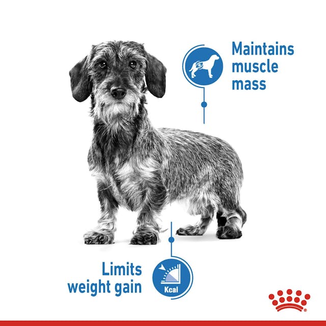 Royal Canin Light Weight Care Dog Wet Food 85G - 4