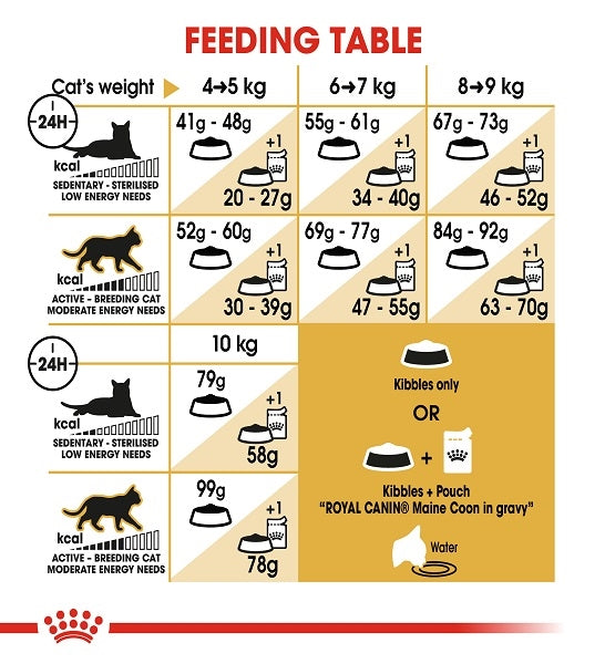 Royal Canin Maine Coon Adult Dry Cat Food 2KG - 5