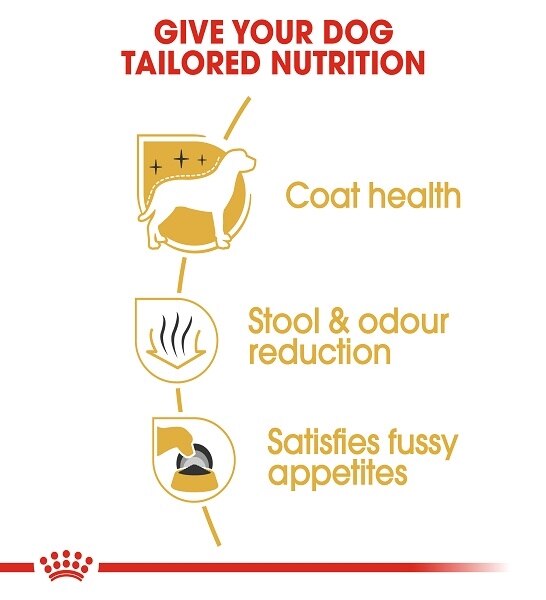 Royal Canin Maltese Adult Dry Dog Food 1.5KG  - 4