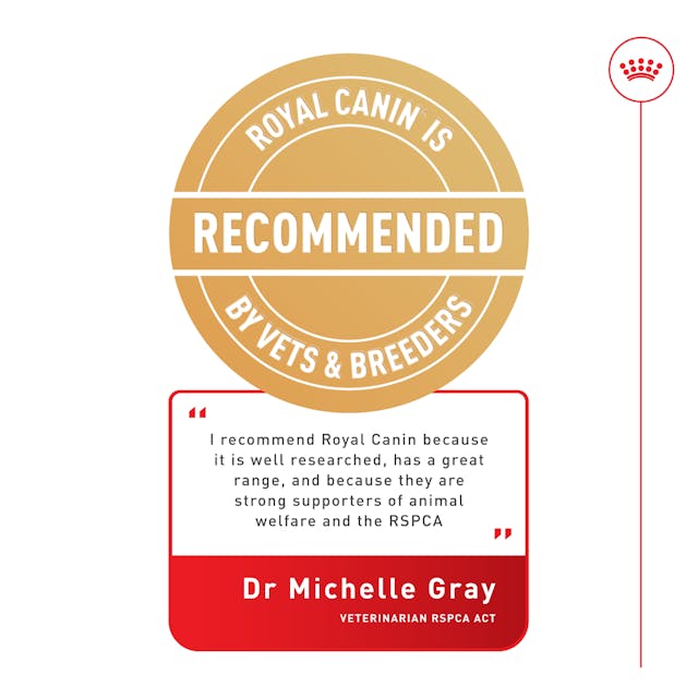 Royal Canin Maxi Adult Wet Dog Food 140G - 4