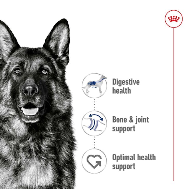  Royal Canin Maxi Adult Wet Dog Food 140G - 5