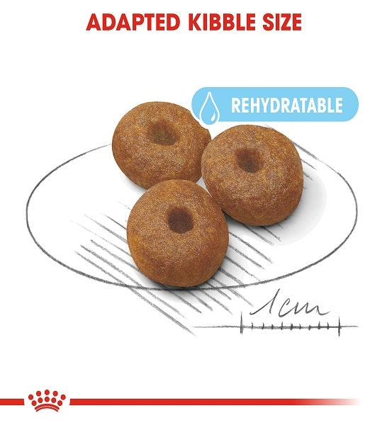 Royal Canin Maxi Starter Mother & Babydog Dry Food - 2