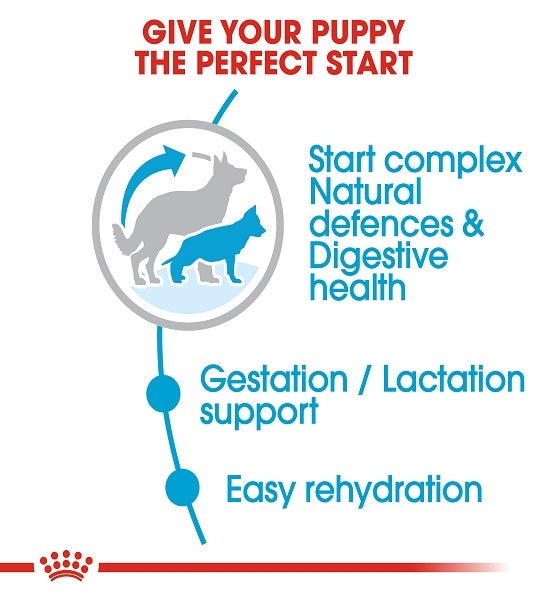 Royal Canin Maxi Starter Mother & Babydog Dry Food - 3