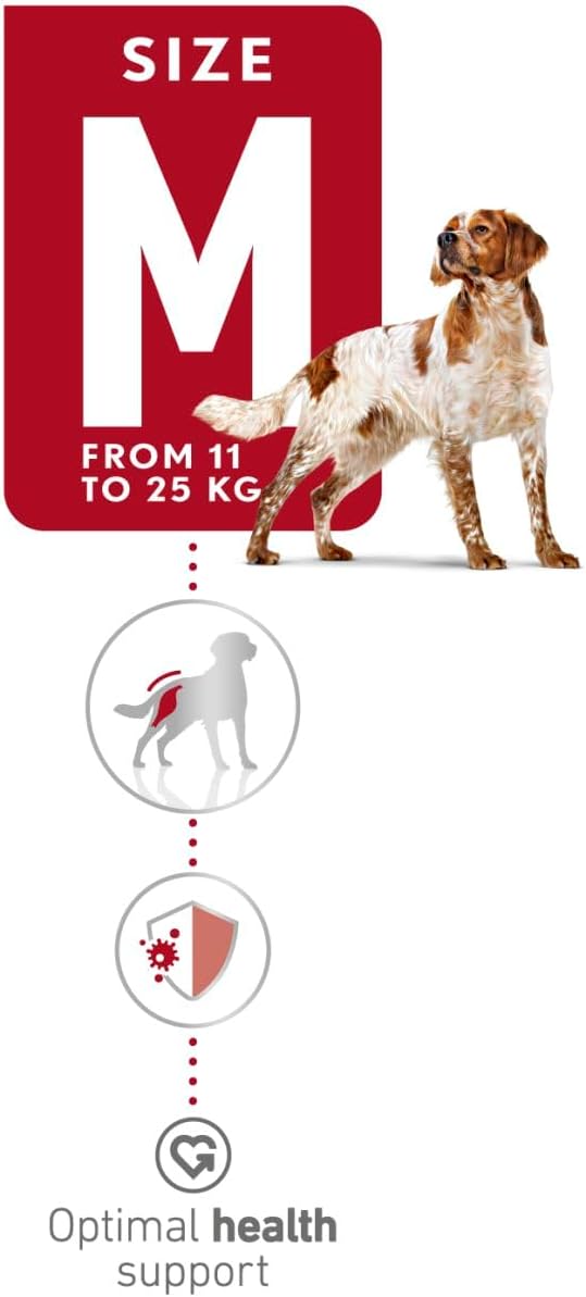 Royal Canin Medium Adult Dry Dog Food - 4
