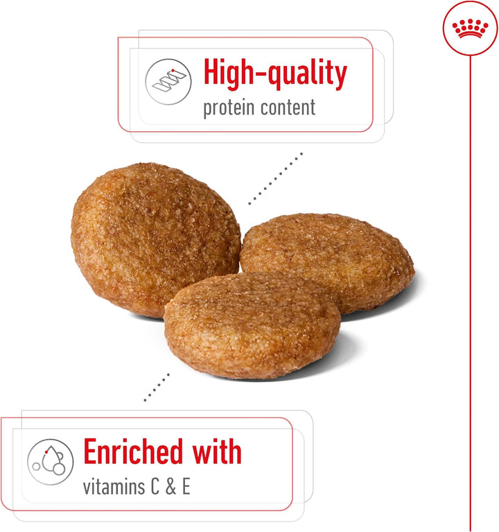 Royal Canin Medium Adult Dry Dog Food - 6