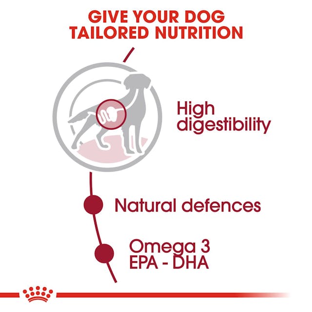 Royal Canin Medium Adult Wet Dog Food - 6