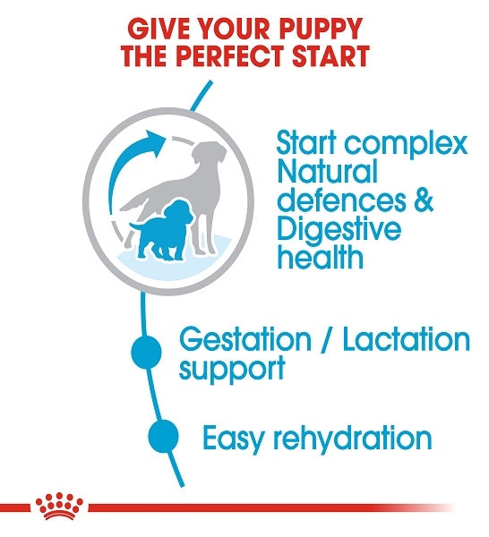 Royal Canin Medium Starter Mother & Babydog Dry Dog Food 4KG - 3