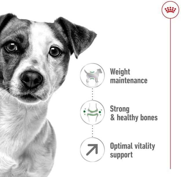 Royal Canin Mini Adult 8+ Dry Dog Food - 3