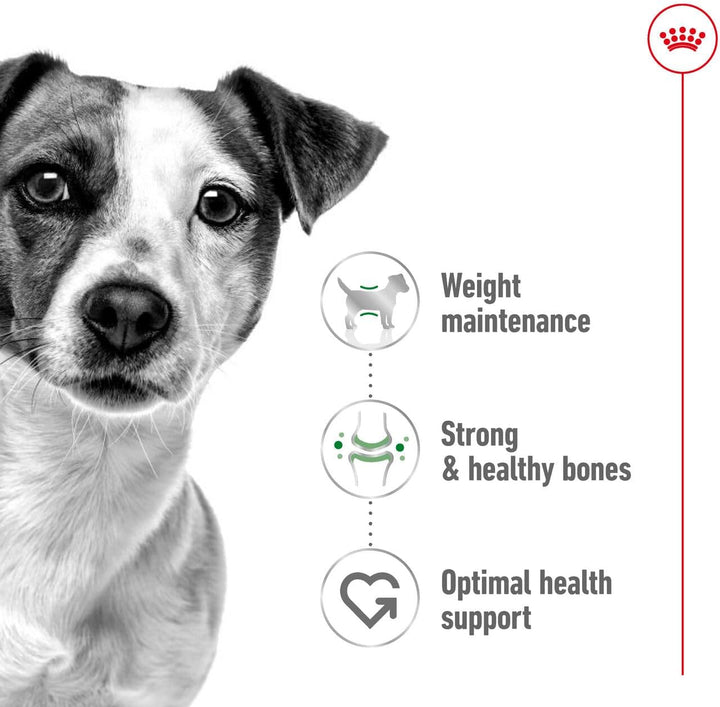 Royal Canin Mini Adult Dry Dog Food - 2