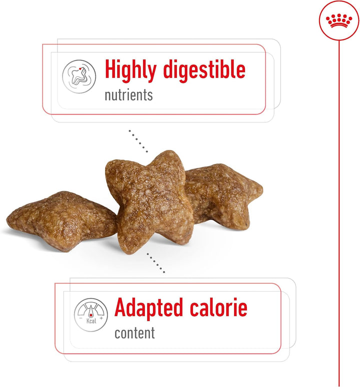 Royal Canin Mini Adult Dry Dog Food - 4