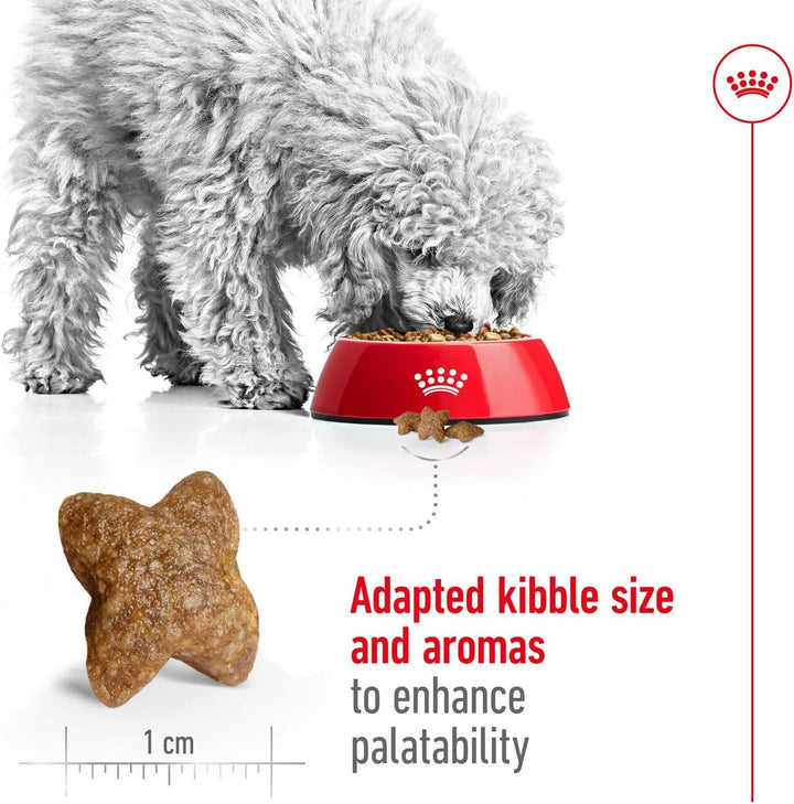 Royal Canin Mini Adult Dry Dog Food - 5