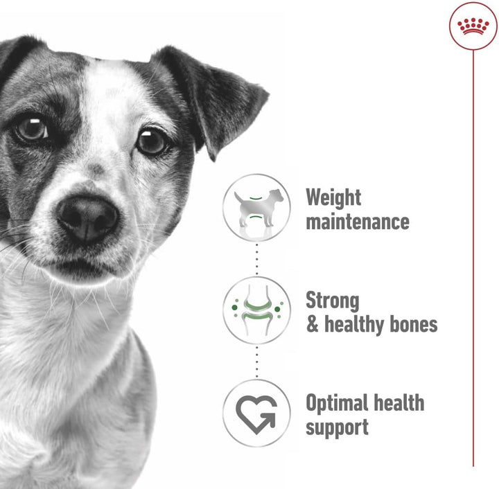 Royal Canin Mini Adult In Gravy-Salsa Wet Dog Food - 3