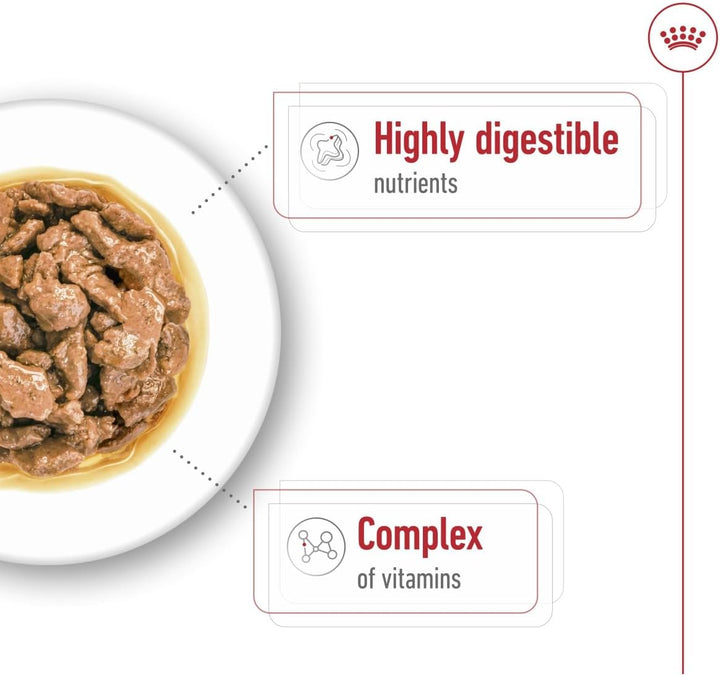 Royal Canin Mini Adult In Gravy-Salsa Wet Dog Food - 4