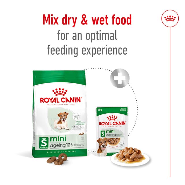 Royal Canin Mini Ageing 12+ Dry Dog Food 1.5KG - 5