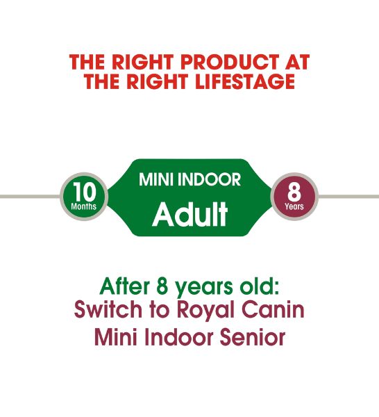 Royal Canin Mini Indoor Life Adult Dry Dog Food 1.5KG - 3
