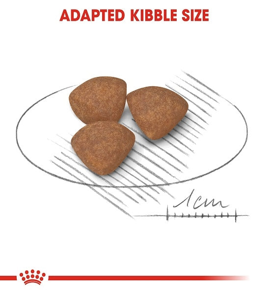 Royal Canin Mini Puppy Dry Food - 2