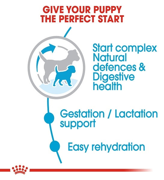 Royal Canin Mini Starter Puppy Dry Food 1KG - 3