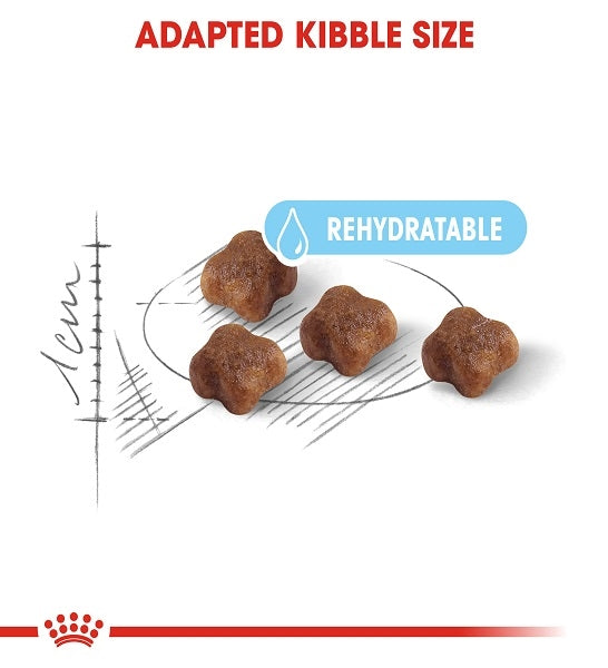 Royal Canin Mother & Babycat Dry Cat Food - 3