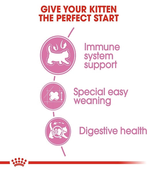 Royal Canin Mother & Babycat Dry Cat Food - 4